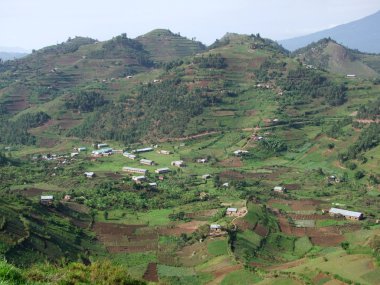 Aerial view around Virunga Mountains in Uganda clipart