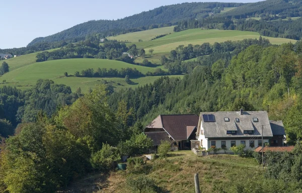 Idyllische friedliche Schwarzwald-Landschaft — Stockfoto