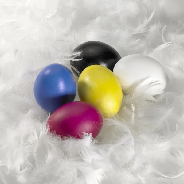 Easter eggs and down feathers — Stock Photo, Image