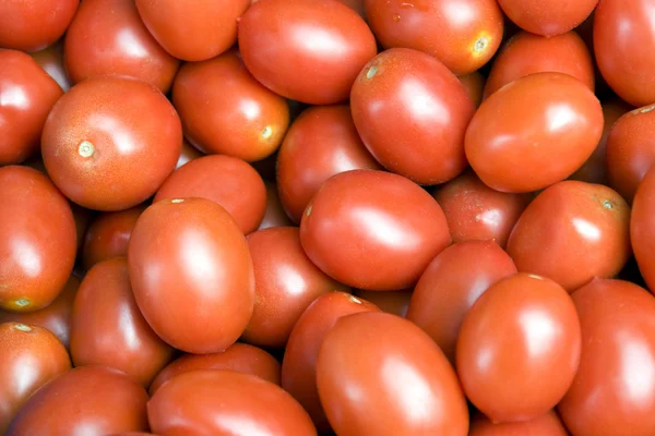 Багато свіжих червоних помідорів — стокове фото