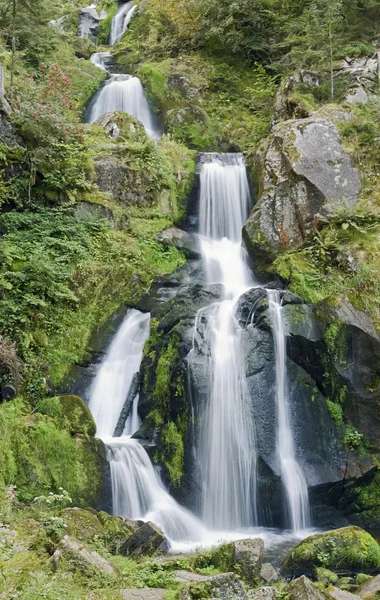 Cascades idylliques Triberg — Photo