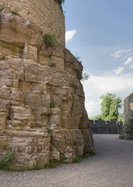 Вокруг замка Вертхайм в летнее время — стоковое фото