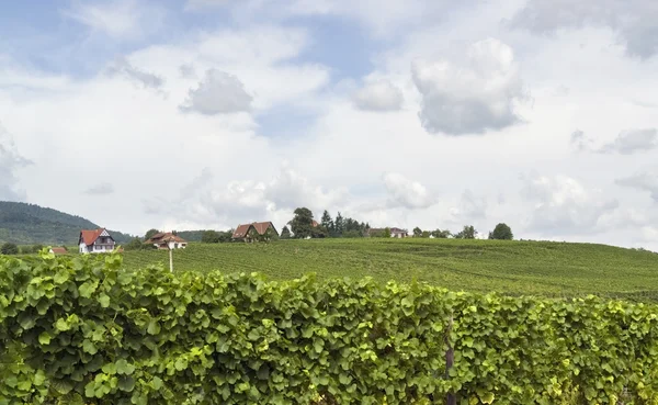 Mittelbergheim en Alsacia — Foto de Stock