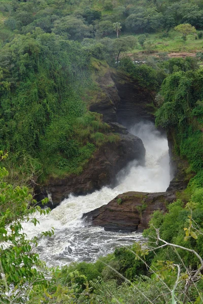 ウガンダのマーチソン滝します。 — ストック写真