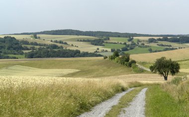 Rural panoramic scenery with farm track clipart