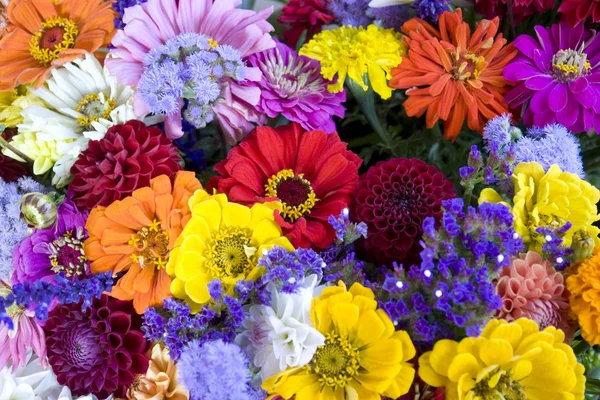 Colorful bunch of flowers — Stock Photo, Image