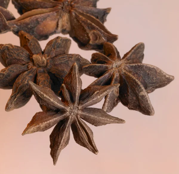 Spicy star-anise — Stock Photo, Image