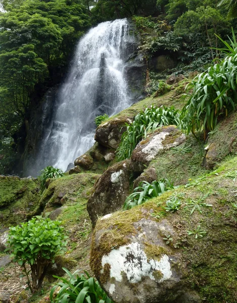 Водопад у Азорских островов — стоковое фото