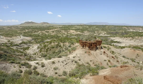 Olduvai ущелини в Африці — стокове фото