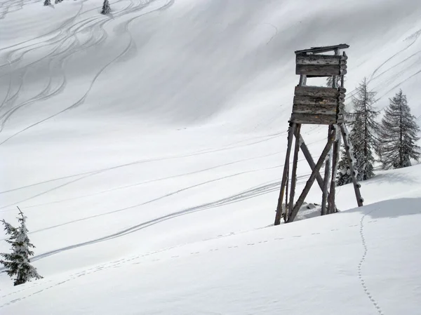 Esquí en Wagrain — Foto de Stock