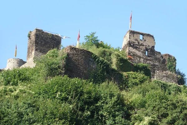 Harabe metternich castle — Stok fotoğraf