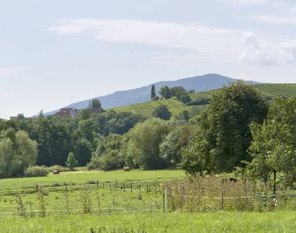 Alsace landskap — Stockfoto