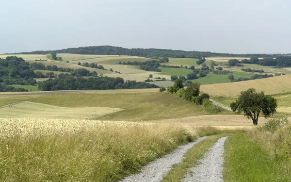 Rural panoramische landschap met boerderij track — Stockfoto