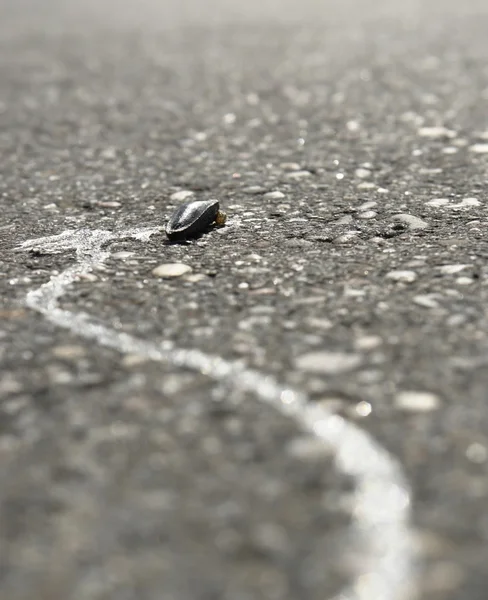 干涸蛞蝓街 — 图库照片