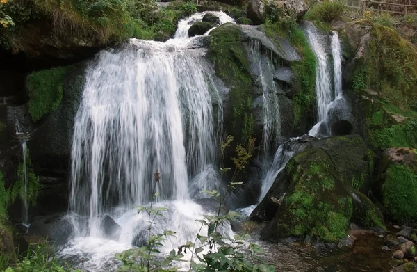 Cachoeiras de Triberg idílicas — Fotografia de Stock