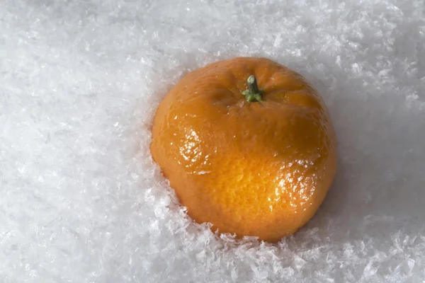Laranja mandarim na neve — Fotografia de Stock