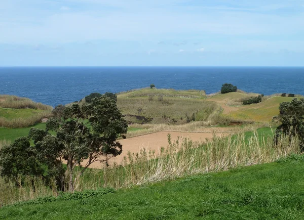 Stock image Coastal scenery at the Azores