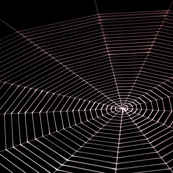 Geschilderde spiderweb — Stockfoto