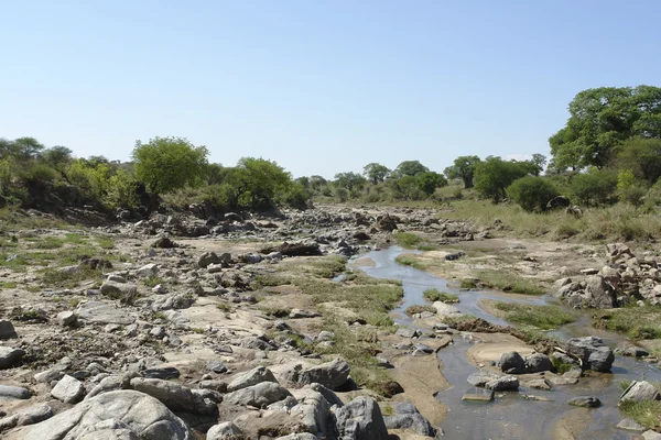 Tarangire rivier met veel stenen — Stockfoto