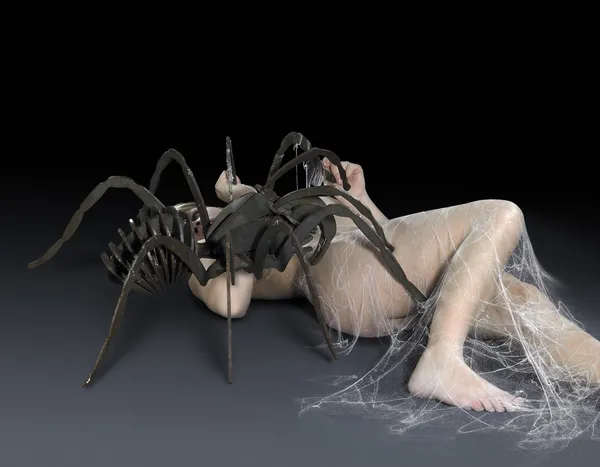 Атака пауков — стоковое фото