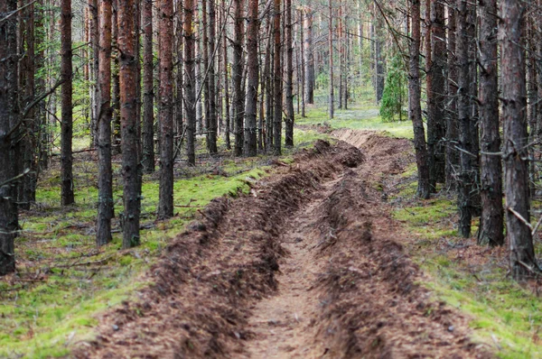 stock image Forest fire protection