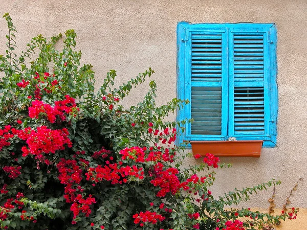 Blue window wood blinds — Stock Photo, Image