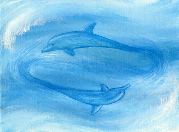 두 돌고래 스톡 사진