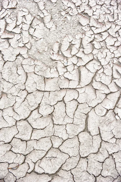 stock image Arid earth