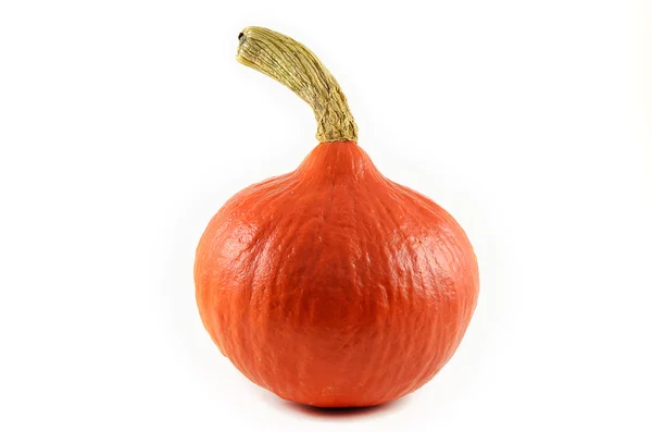 stock image Pumpkin