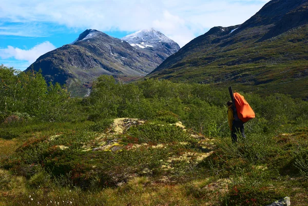 stock image Young Woman Hiking in Jotunheimen National Park, Norway