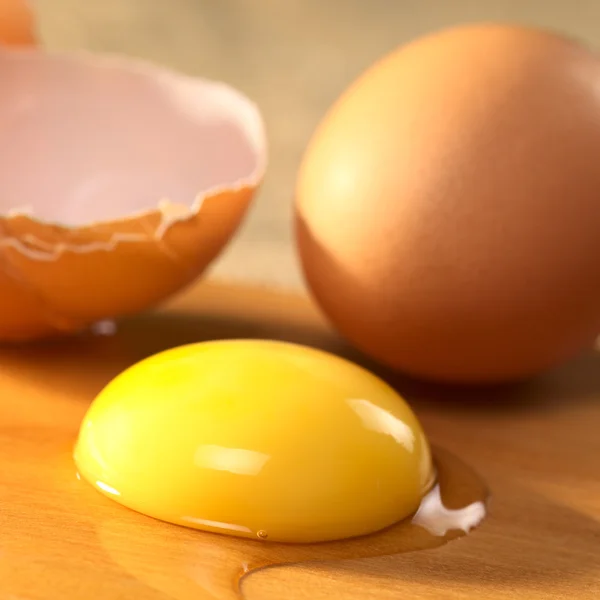 Yema de huevo cruda — Foto de Stock