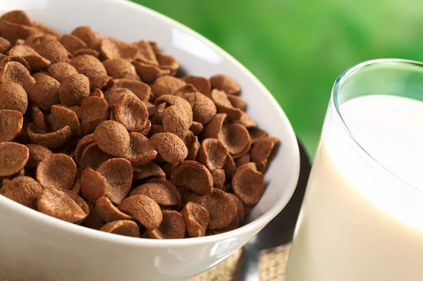 Chocolate Wheat Flake Cereal and Milk — Stock Photo, Image