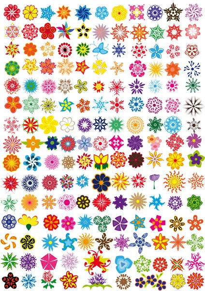 Set di fiori Illustrazione Stock