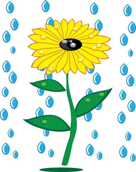 Sunflowers and rain drops on isolated — Stock Vector