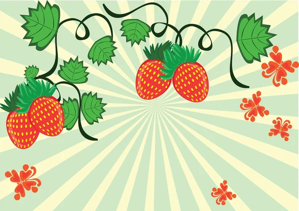 从草莓浆果和蝴蝶卷曲 — 图库矢量图片
