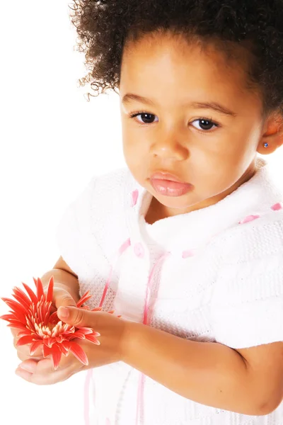 Досить маленька дівчинка тримає квітку — стокове фото