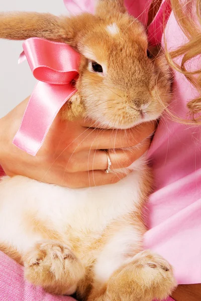 Ein kleines Kaninchen mit einer rosa Schleife — Stockfoto