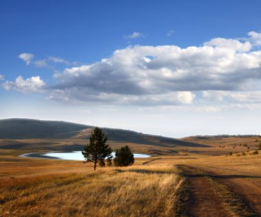 Ülke Yolu