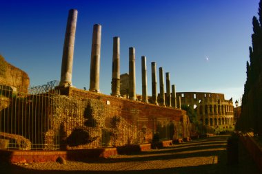 Roma Colosseum