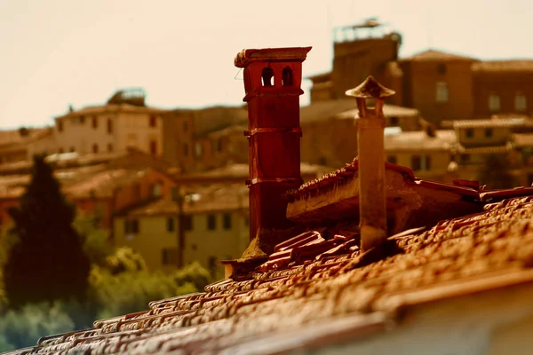 Siena Tuscany Italy — Stock Photo, Image