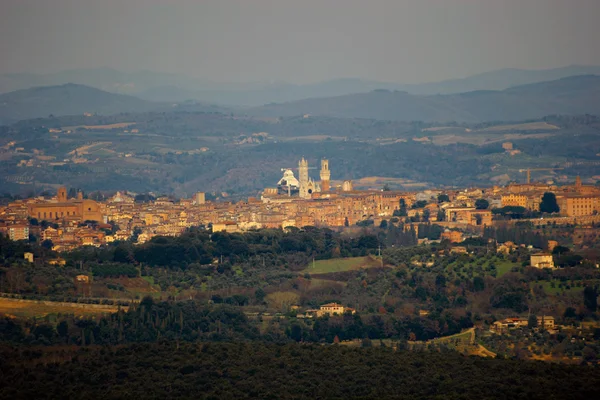 Siena krajina toscana Itálie — Stock fotografie