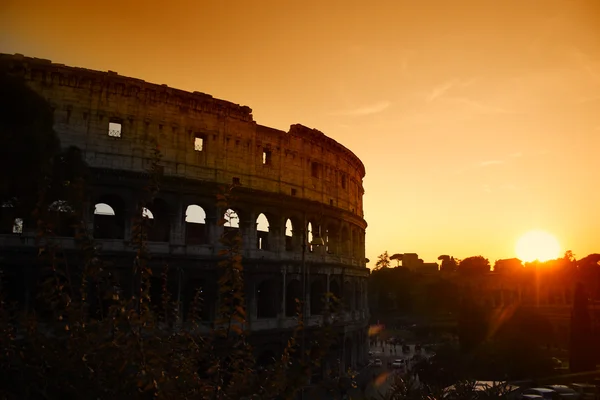 Colosseo di Roma Anfiteatro Flavio — Foto Stock