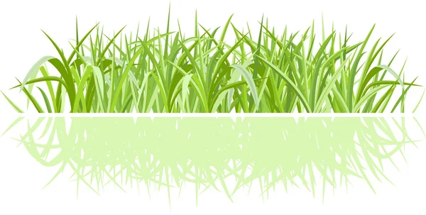 stock vector Green grass on white background