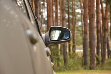 Automobile lateral mirror clipart