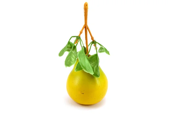 stock image Artificial, plastic pear