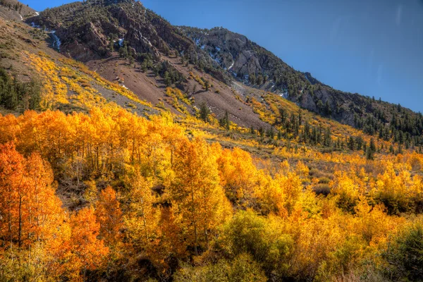Sierra Herbst Farbe — Stockfoto
