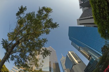 hong Kong highrise binalar