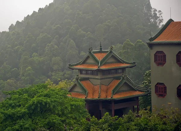 Erdő közelében a baolin templom — Stock Fotó
