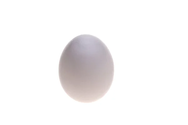 White egg — Stock Photo, Image