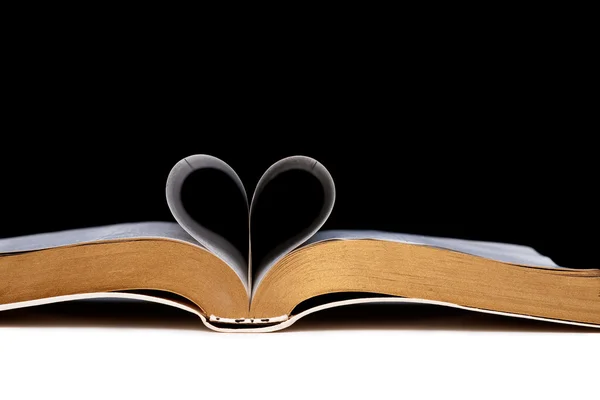 Amor para ler livro — Fotografia de Stock